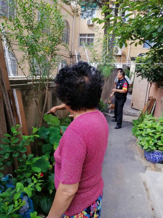 1EE6A4E73F0034859E163D1259AD97EA