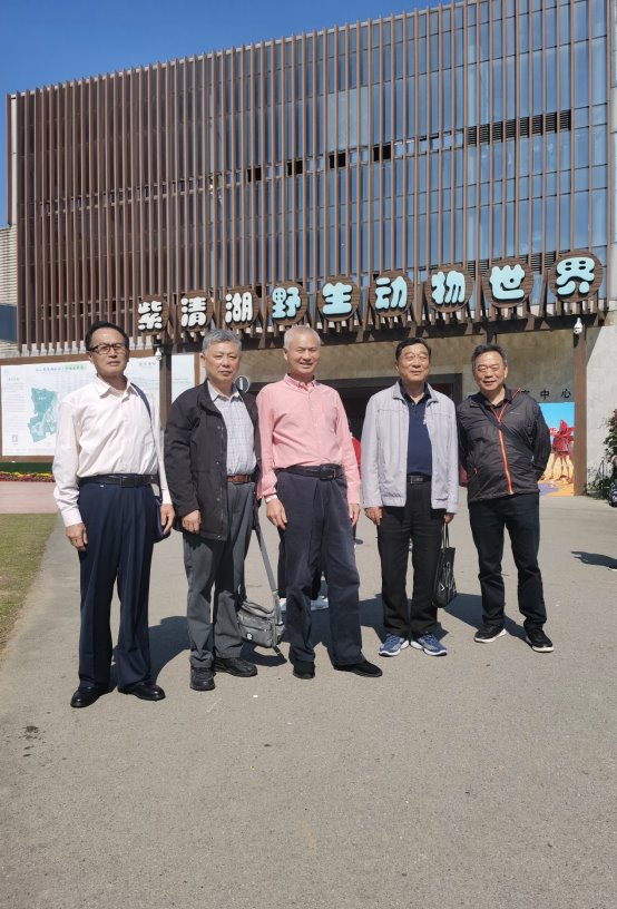 一群人站在街道上

描述已自动生成