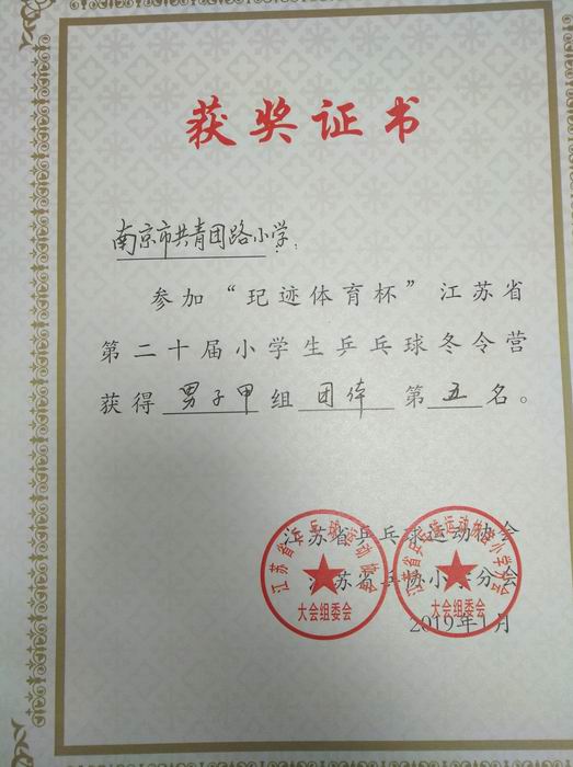 调整大小 “玘迹体育杯”江苏省第21届小学生乒乓球冬令营男子甲组第5名.jpg