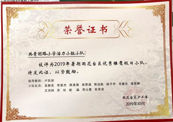 卢凯丽指导的“活力小组小队”被评为2019年雨花台区优秀雏鹰假日小队.png