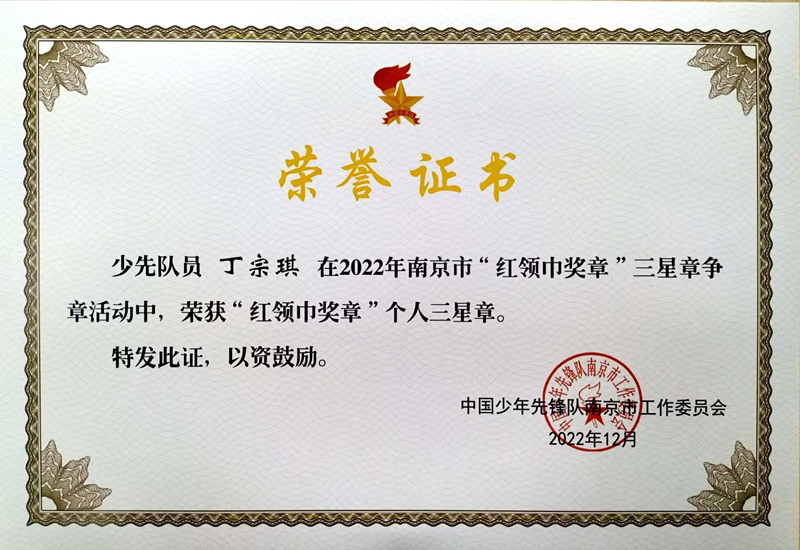 2022.12丁宗琪荣获“红领巾奖章”个人三星章.jpg